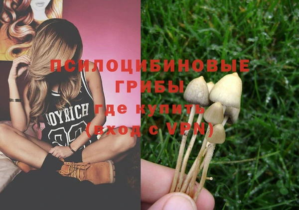 соль курить ск Горняк
