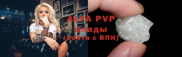 индика Горно-Алтайск