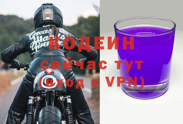 индика Горно-Алтайск