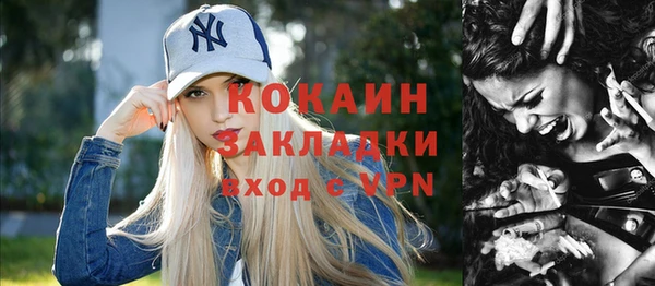 индика Горно-Алтайск