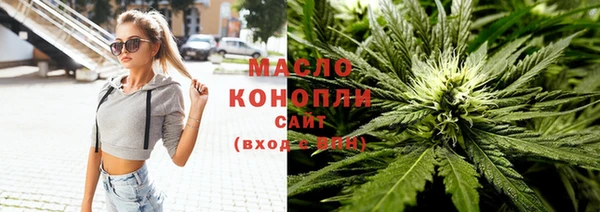 индика Горно-Алтайск