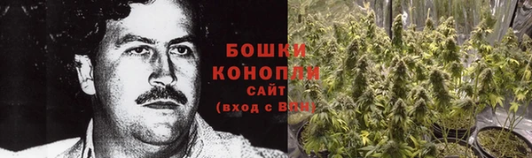 индика Горно-Алтайск